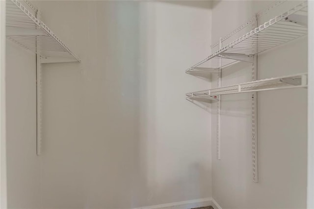 view of walk in closet