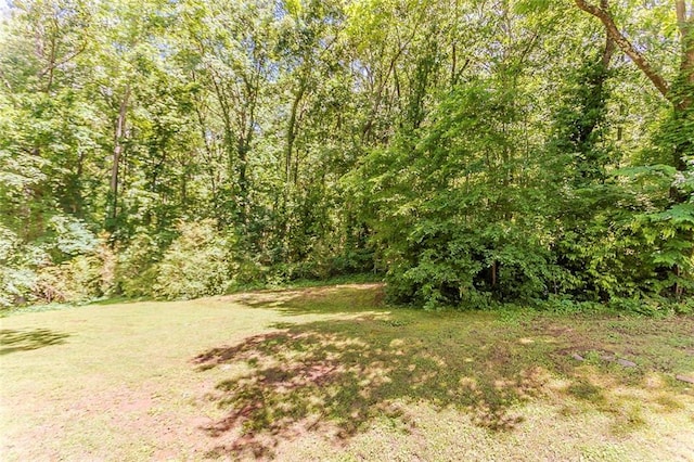 view of grassy yard featuring a wooded view