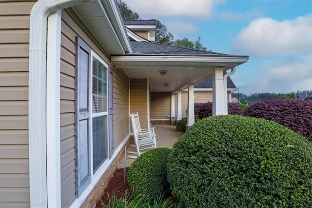 view of side of property featuring roof with shingles