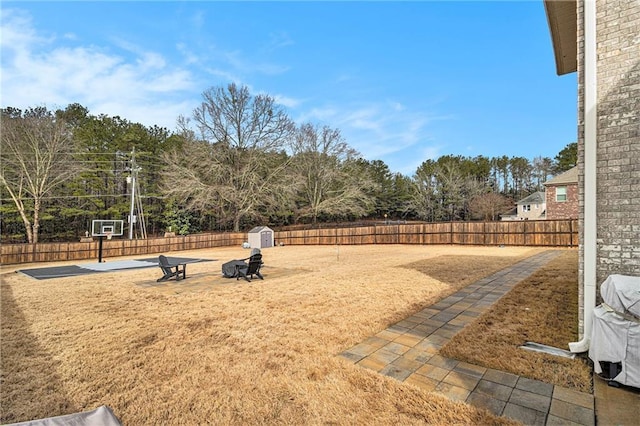 view of yard featuring a storage shed