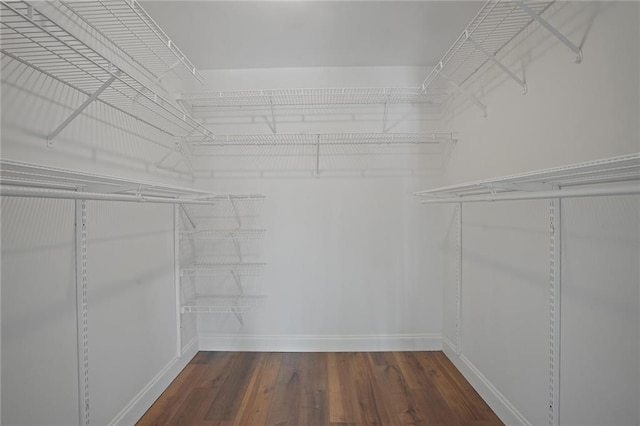 walk in closet featuring wood-type flooring