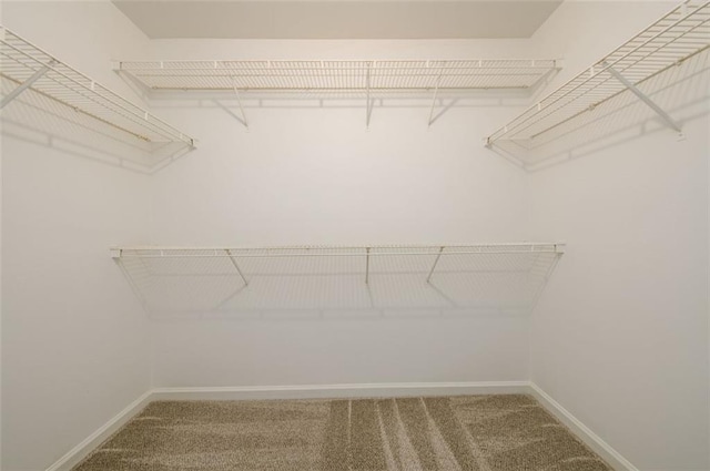 3105 The Trail Rd, Gainesville, GA 30501 - spacious closet with carpet
