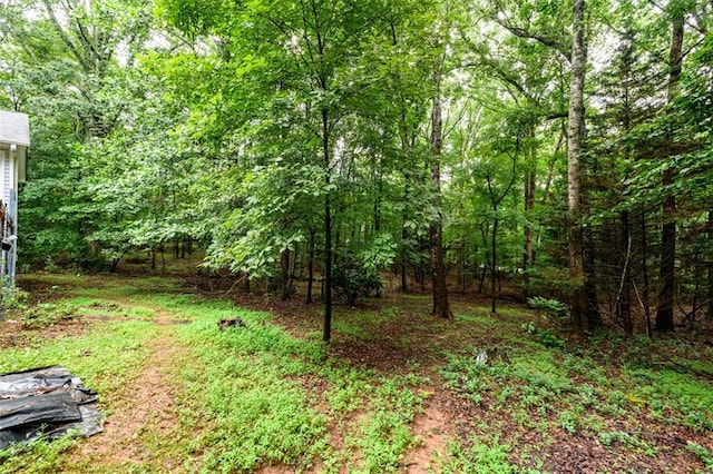 3105 The Trail Rd, Gainesville, GA 30501 - view of yard featuring a view of trees