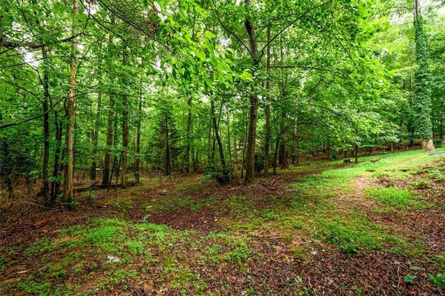 3105 The Trail Rd, Gainesville, GA 30501 - view of wooded area