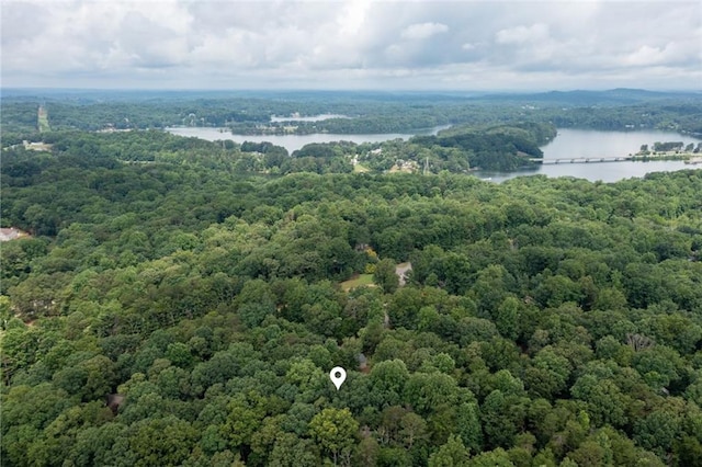 3105 The Trail Rd, Gainesville, GA 30501 - bird's eye view of a forest and a large body of water