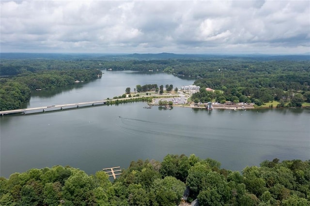 3105 The Trail Rd, Gainesville, GA 30501 - bird's eye view of a heavily wooded area and a large body of water