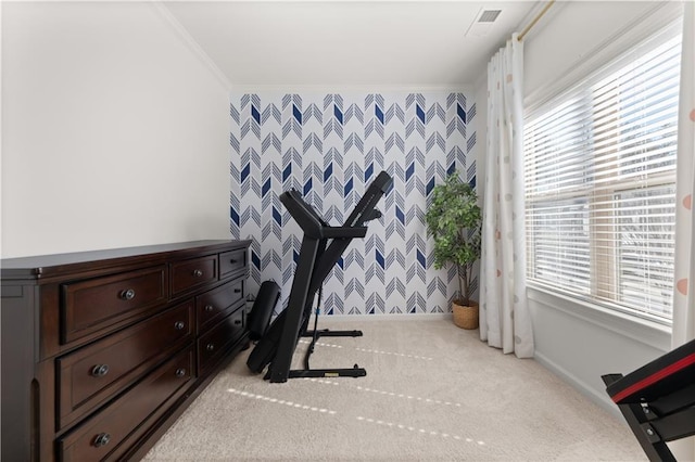 exercise area featuring crown molding and light carpet