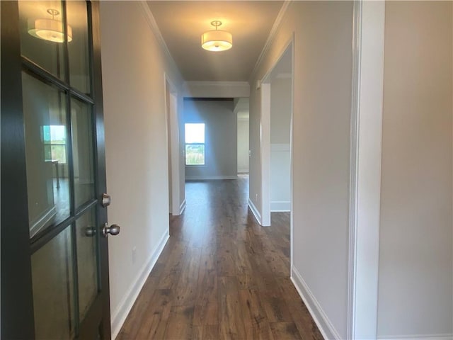 216 Montview Dr, Jefferson, GA 30549 - hall featuring crown molding, dark wood-type flooring, and baseboards