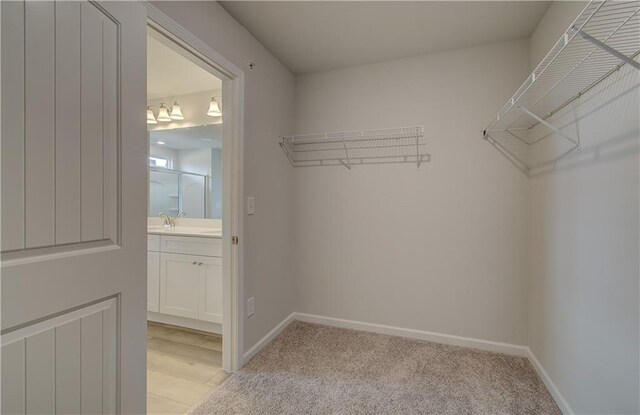 8147 Tiger Way, Riverdale, GA 30296 - spacious closet with a sink