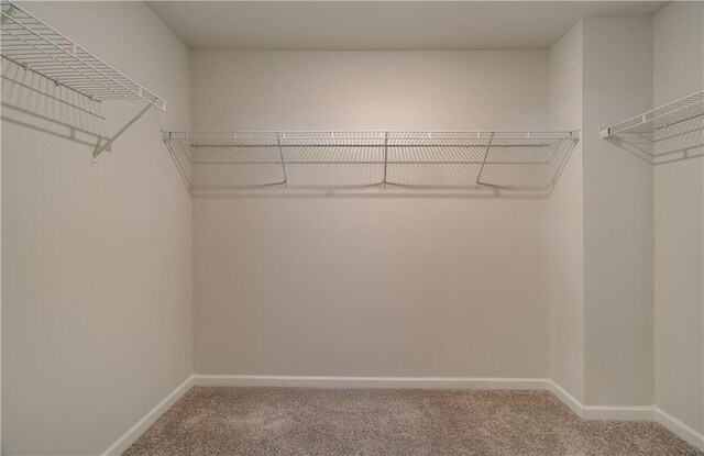 8147 Tiger Way, Riverdale, GA 30296 - spacious closet with carpet floors