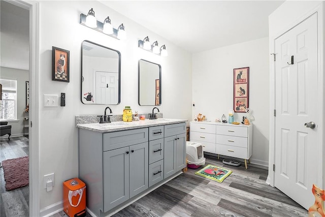 bathroom with hardwood / wood-style flooring and vanity