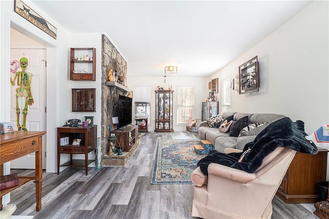 living room with a stone fireplace and wood-type flooring