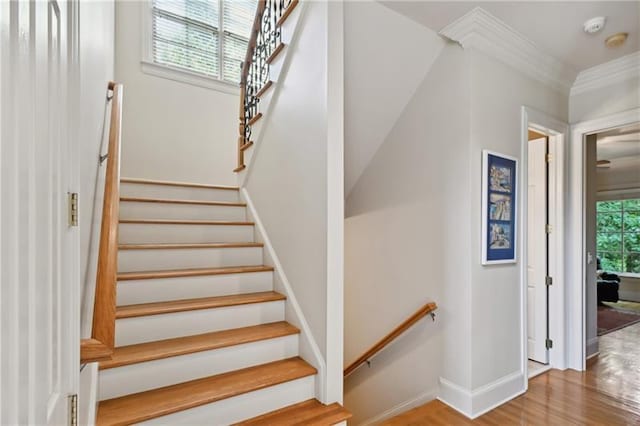 staircase with crown molding and hardwood / wood-style flooring