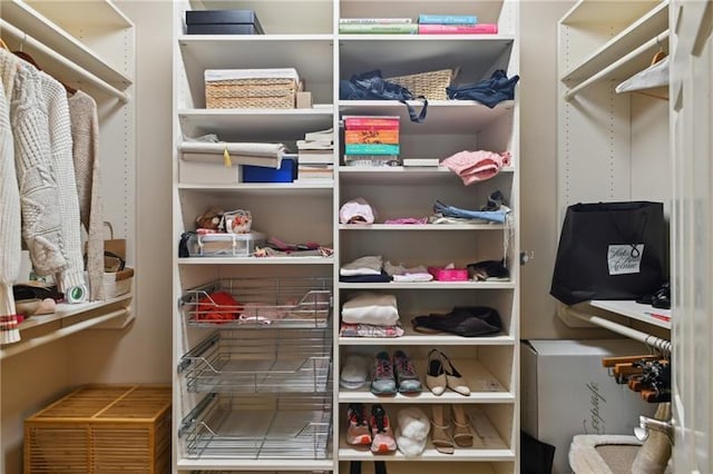 view of walk in closet