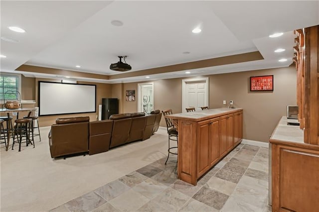 carpeted home theater featuring a tray ceiling