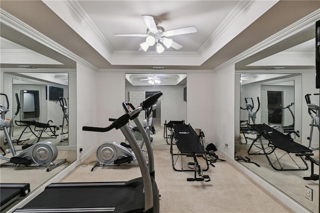 exercise room featuring ceiling fan, carpet flooring, crown molding, and a tray ceiling