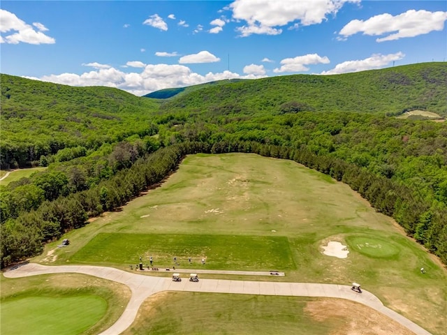 drone / aerial view with a mountain view