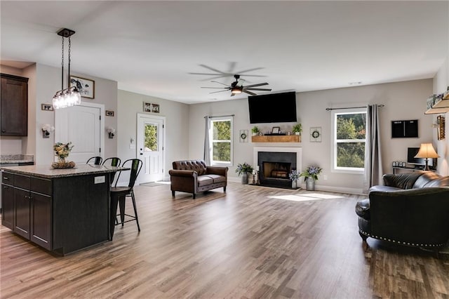 living room with ceiling fan, plenty of natural light, and light hardwood / wood-style floors