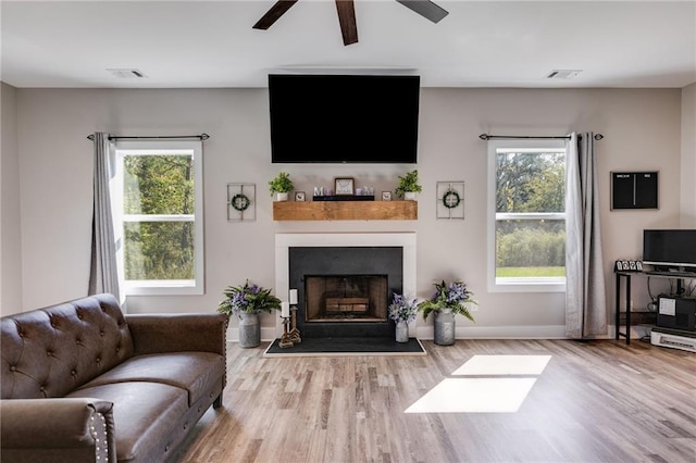 living room with ceiling fan, plenty of natural light, and light hardwood / wood-style flooring