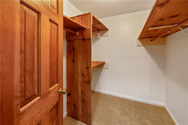 spacious closet featuring carpet floors