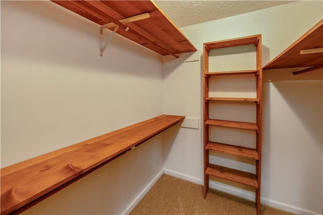 walk in closet featuring carpet