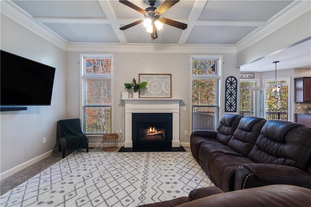 carpeted living room with beam ceiling, crown molding, ceiling fan, and coffered ceiling