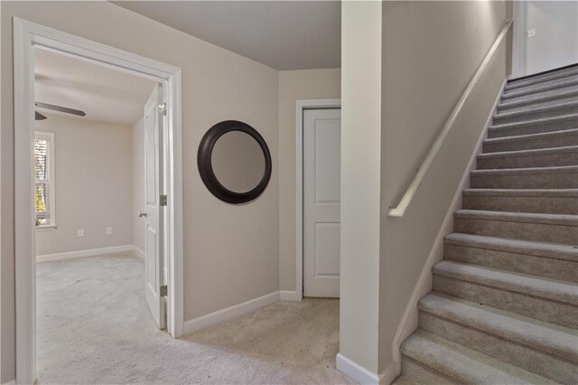 staircase with carpet flooring