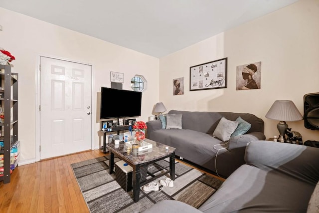 living room with hardwood / wood-style floors