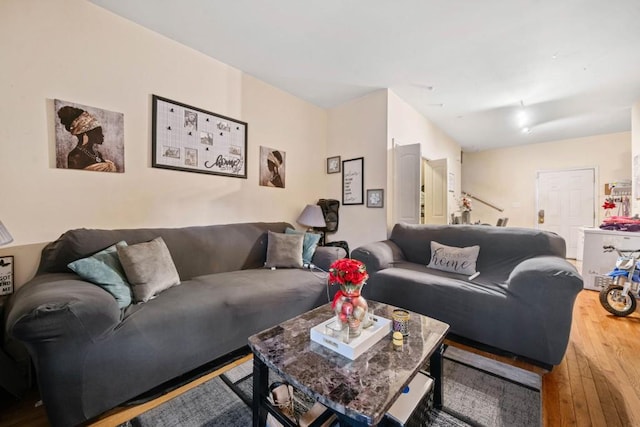 living room with hardwood / wood-style flooring