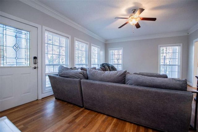 living room with crown molding, ceiling fan, and wood finished floors