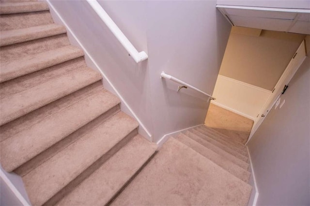 stairs featuring carpet flooring