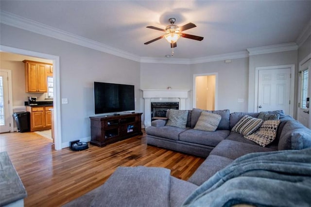 living area featuring wood finished floors, a fireplace, and ornamental molding