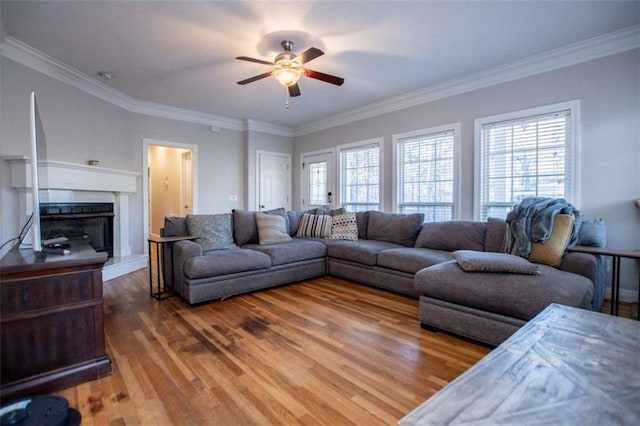 living area with ceiling fan, crown molding, wood finished floors, and a fireplace with raised hearth