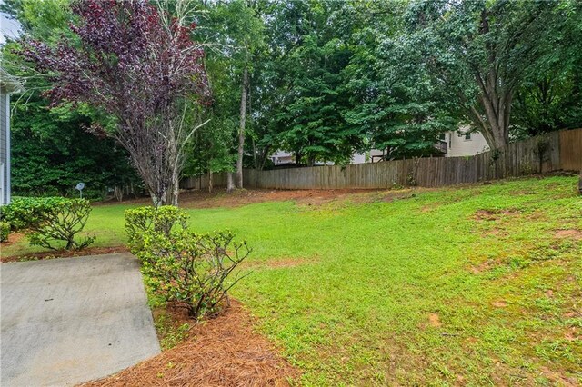 3807 Lance Bluff Ct, Duluth, GA 30097 - view of yard