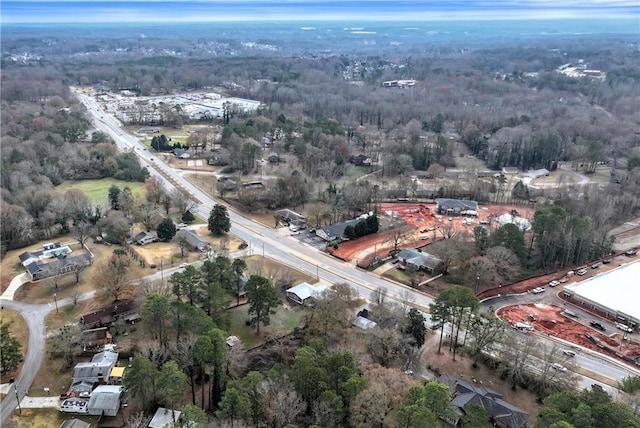 bird's eye view