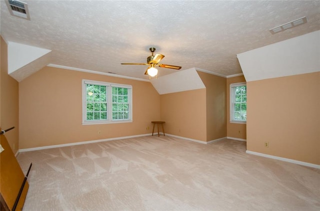 bonus room featuring light carpet, plenty of natural light, and a textured ceiling