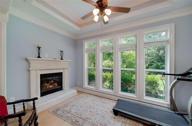 825 Chalet Hls, Mcdonough, GA 30253 - workout area featuring plenty of natural light, a glass covered fireplace, ceiling fan, wood finished floors, and crown molding