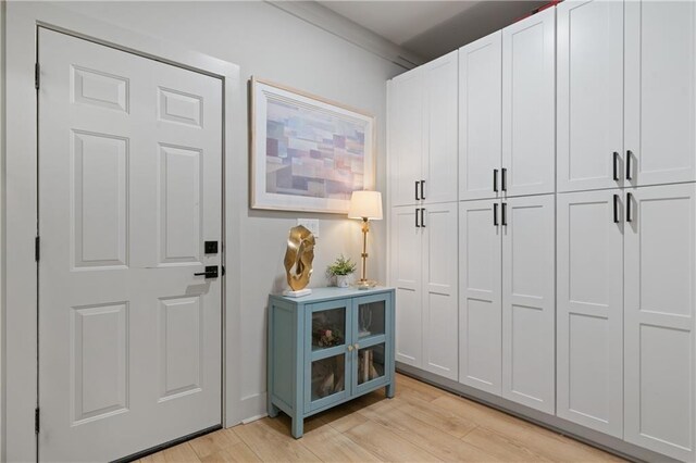 interior space with light wood-type flooring