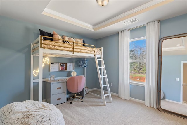 carpeted bedroom featuring a raised ceiling