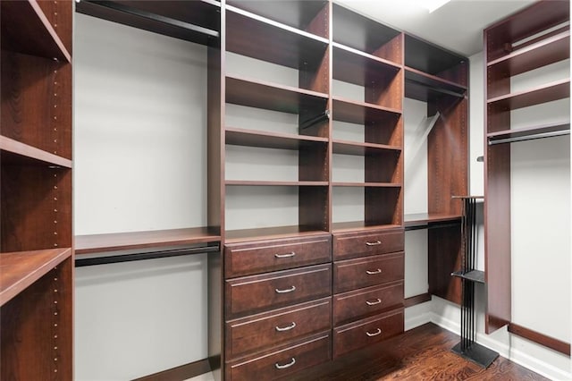 spacious closet featuring dark wood finished floors