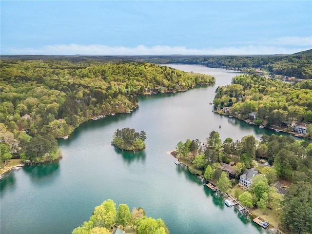 bird's eye view featuring a water view and a wooded view