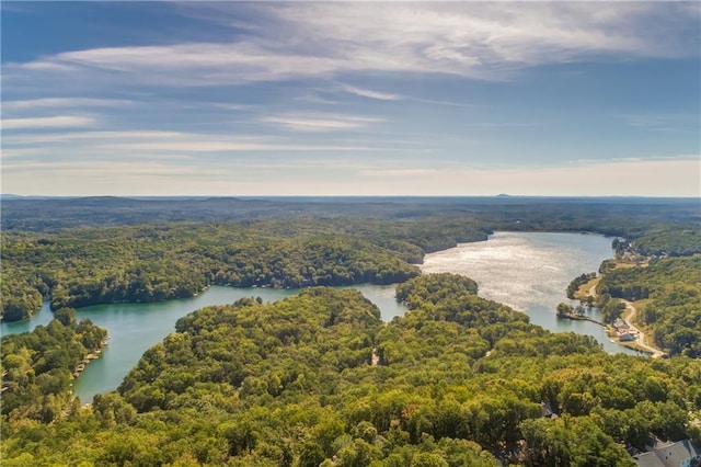 bird's eye view featuring a water view and a forest view