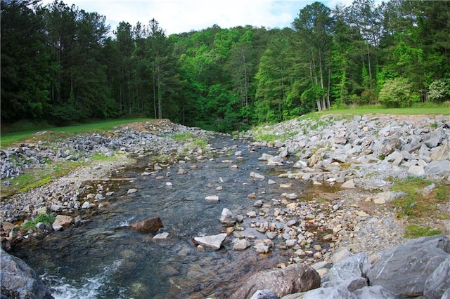 view of local wilderness featuring a wooded view