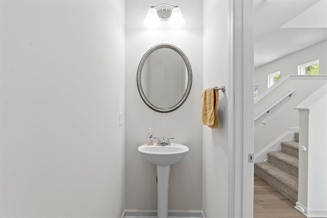 bathroom with wood-type flooring