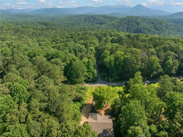 304 Old Cove Rd N, Jasper, GA 30143 - aerial view of a heavily wooded area and mountains
