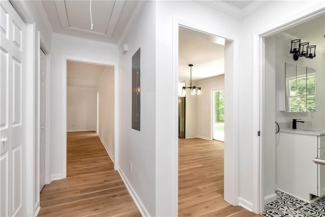 hall with crown molding, plenty of natural light, and light hardwood / wood-style floors