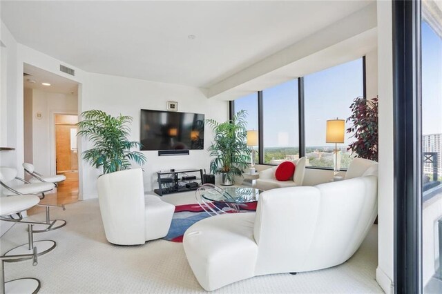 2828 Peachtree Rd NW Unit 2002, Atlanta, GA 30305 - carpeted living area featuring plenty of natural light