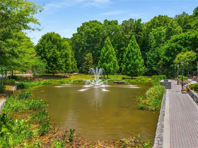 view of home's community with a water view