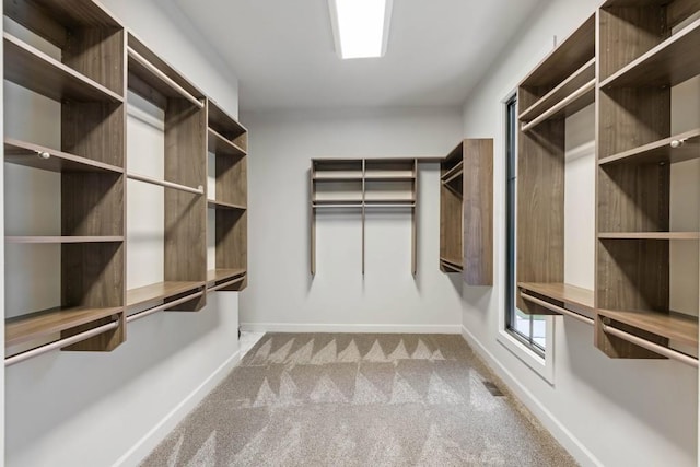 1430 N Harris Rdg, Atlanta, GA 30327 - walk in closet with carpet floors