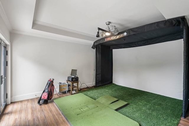 1430 N Harris Rdg, Atlanta, GA 30327 - recreation room featuring golf simulator, crown molding, wood finished floors, and baseboards